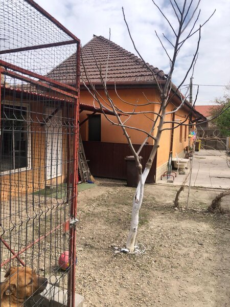 Arad,  Centrul istoric.